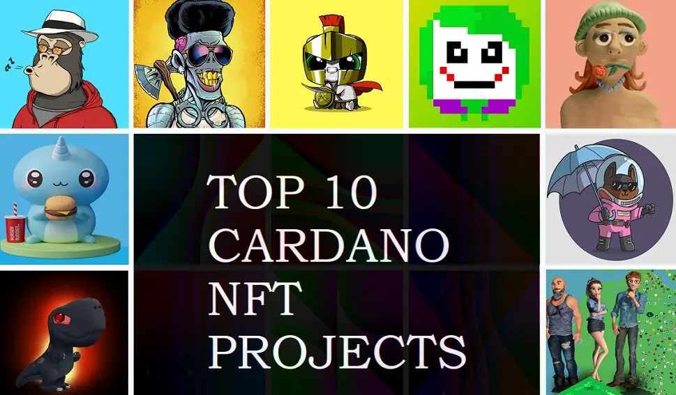 Top 10 Best Cardano NFT Collection Projects ranked by Sales Volume - Cryptoofficiel.com