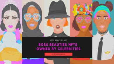 Boss Beauties NFTs owned by Celebrities - Cryptoofficiel.com