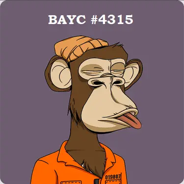BAYC #4315 owned by Natalie Salemink