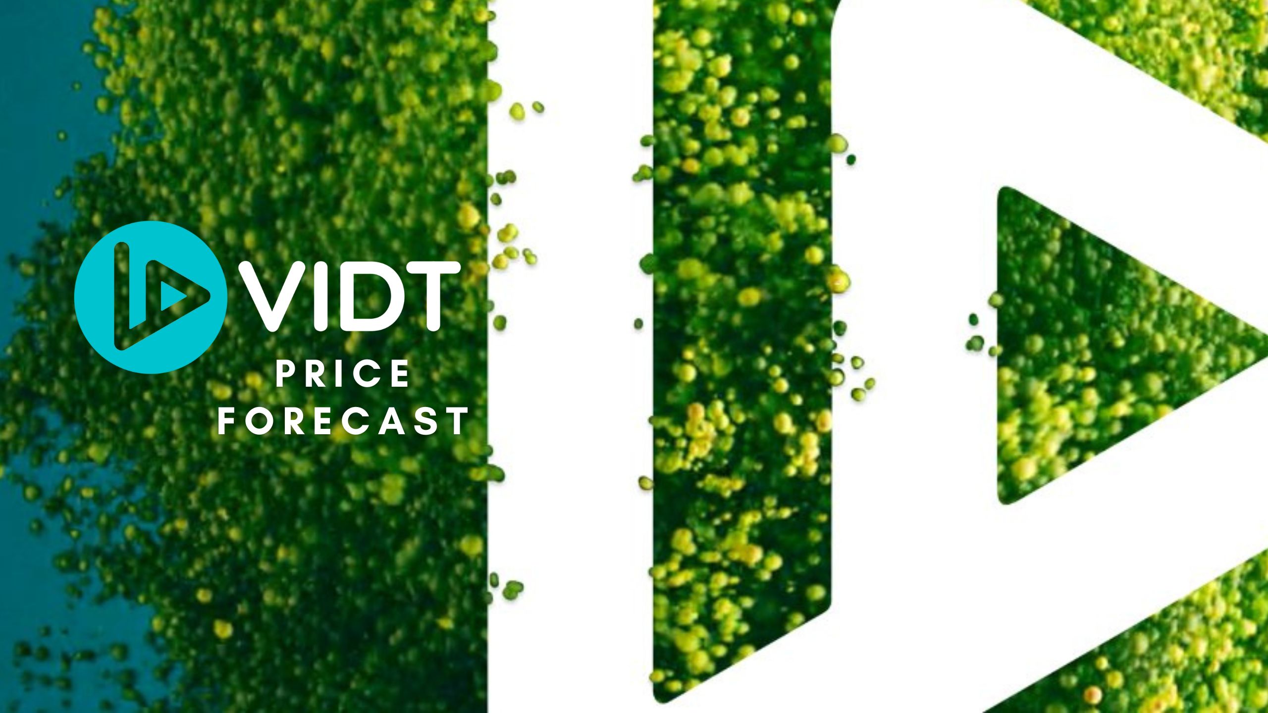 vidt crypto price